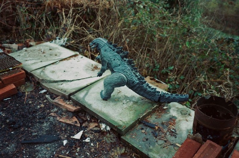 © Alina Potapenko - Image from the Take me home, country roads photography project