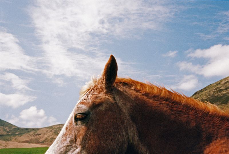 © Alina Potapenko - Image from the Take me home, country roads photography project
