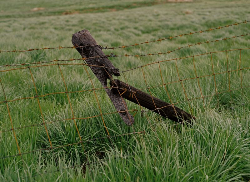 © Alina Potapenko - Image from the Take me home, country roads photography project