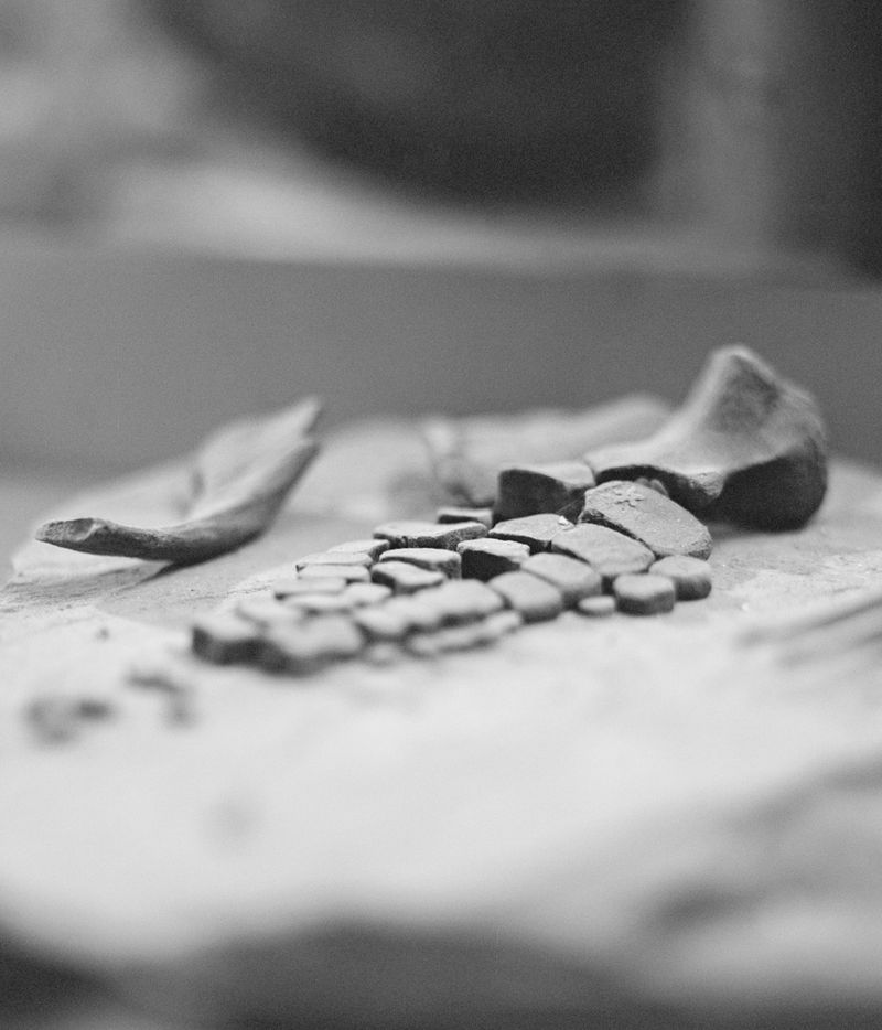 © Zach Knott - Image from the Stone Isles photography project