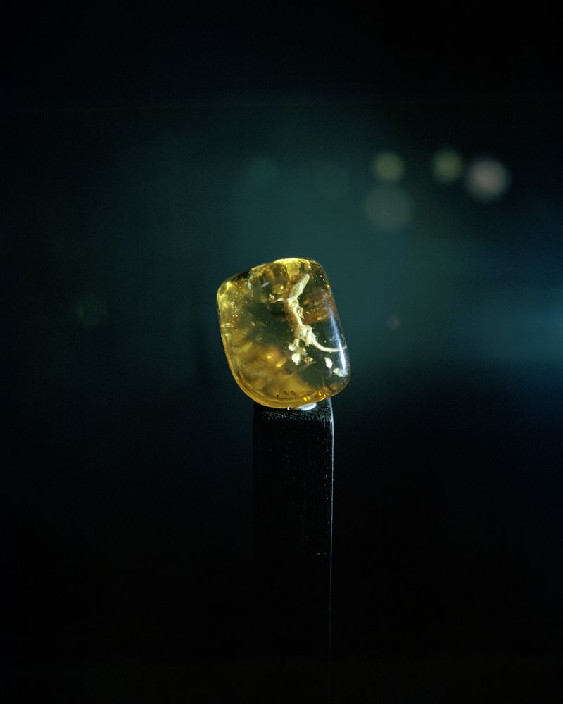 © Zach Knott - Image from the Stone Isles photography project