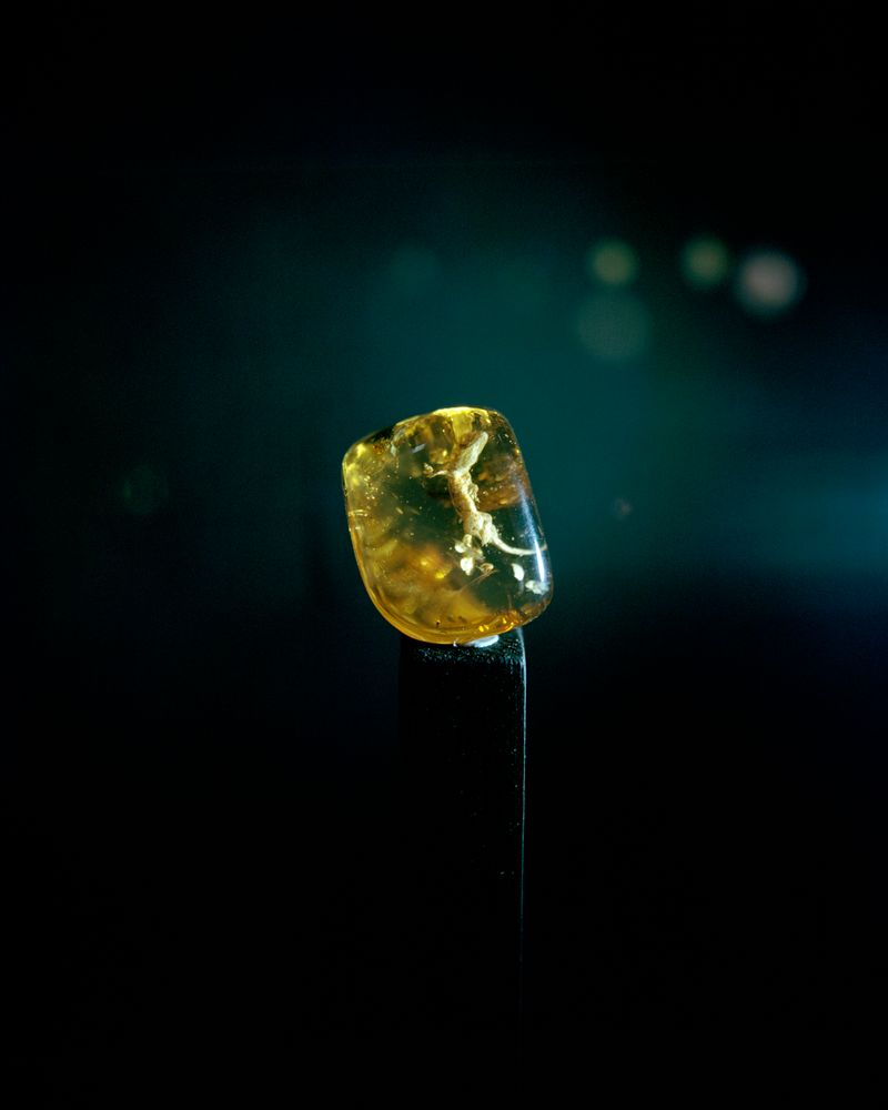 © Zach Knott - Image from the Stone Isles photography project