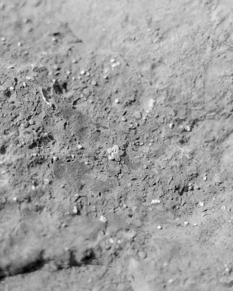 © Zach Knott - Image from the Stone Isles photography project