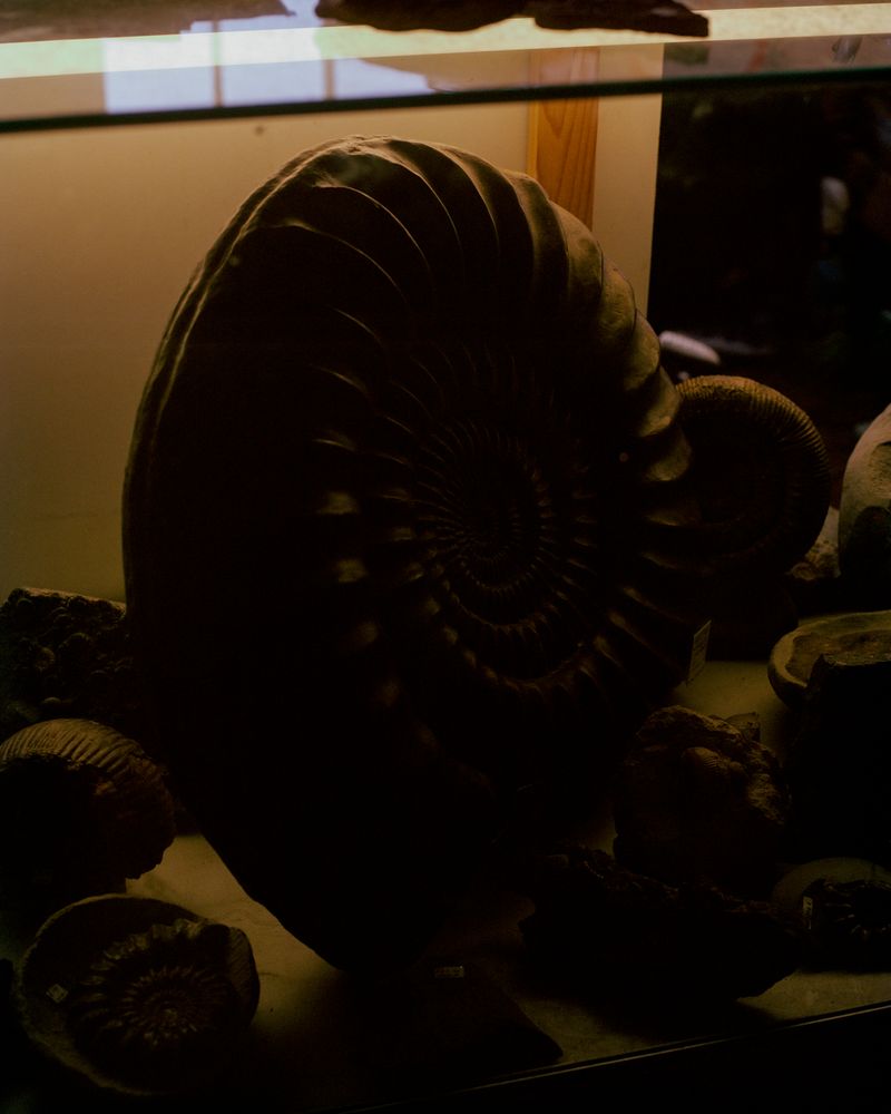 © Zach Knott - Image from the Stone Isles photography project