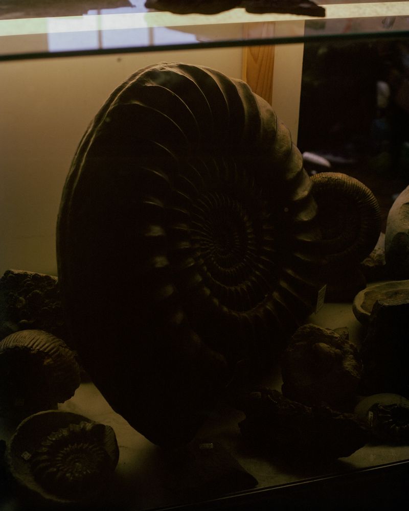 © Zach Knott - Image from the Stone Isles photography project