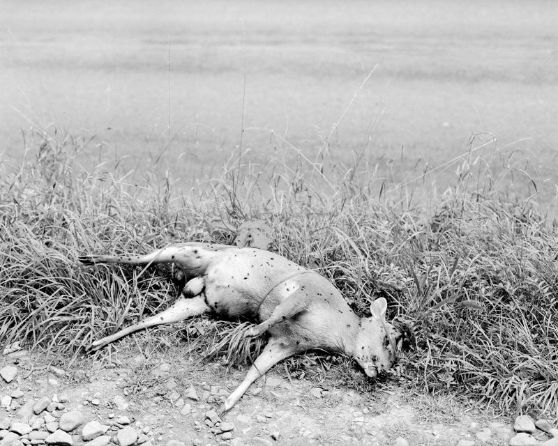 © Zach Knott - Image from the The Rule of Three photography project