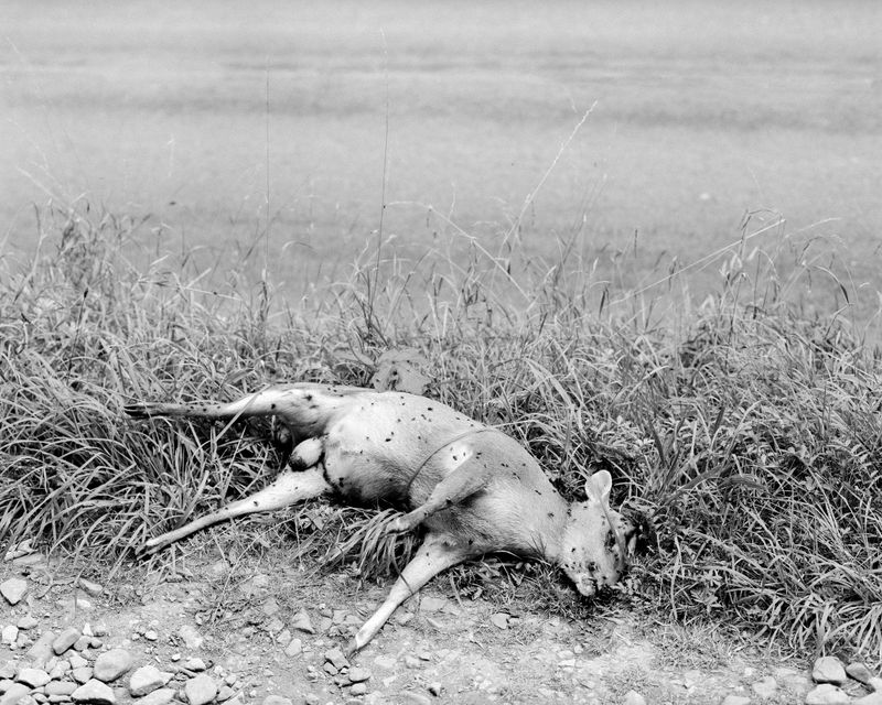 © Zach Knott - Image from the The Rule of Three photography project