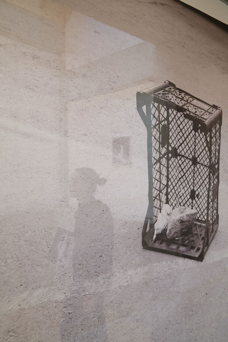 Image from a project on PhMuseum