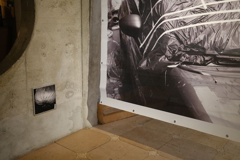 Image from a project on PhMuseum