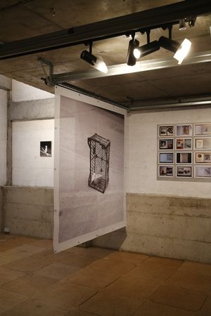 Râsu'-plânsu' Interventions