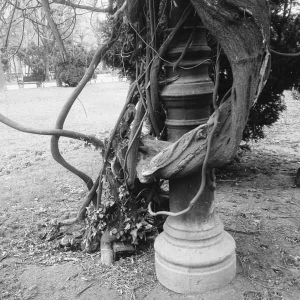 © Aga Luczakowska - Image from the Râsu'-plânsul – laughing through tears photography project