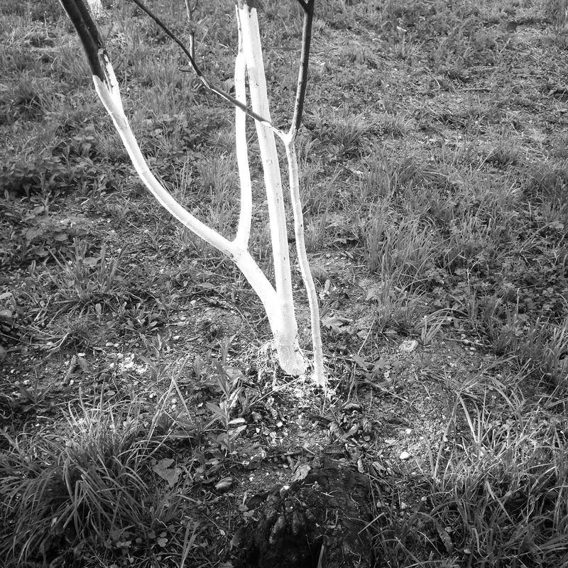 © Aga Luczakowska - Image from the Râsu'-plânsul – laughing through tears photography project