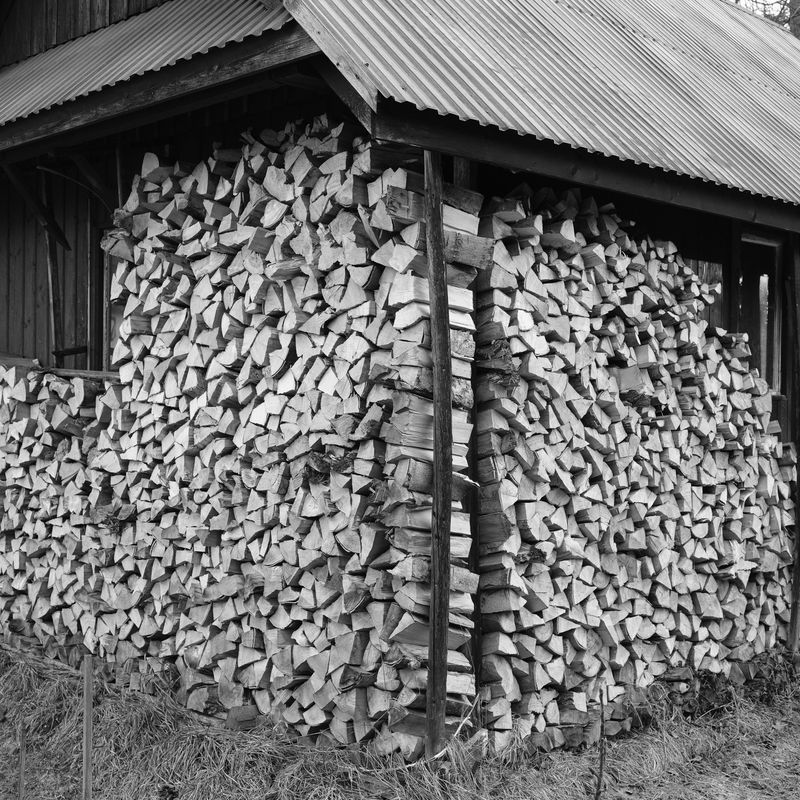 © Aga Luczakowska - Image from the I Once Was a Tree photography project
