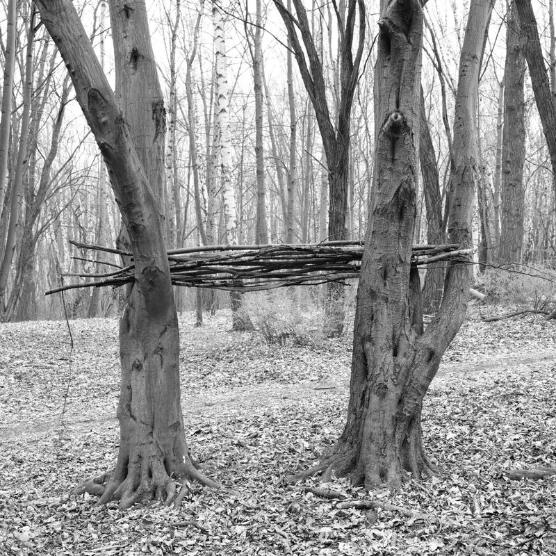 © Aga Luczakowska - Image from the I Once Was a Tree photography project