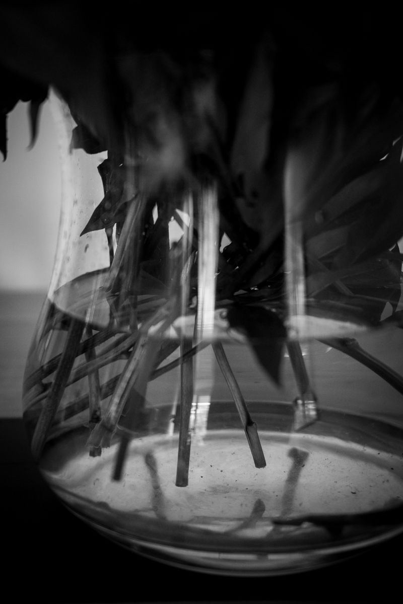 © Aga Luczakowska - Image from the The Love I Carry photography project