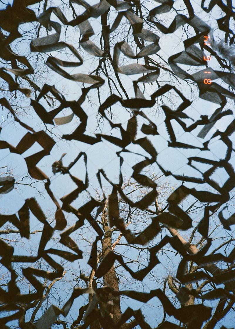 © melnitchenko sergey - Image from the Frontline rolls: Photos, Letters & Artifacts from Ukrainian Soldiers photography project