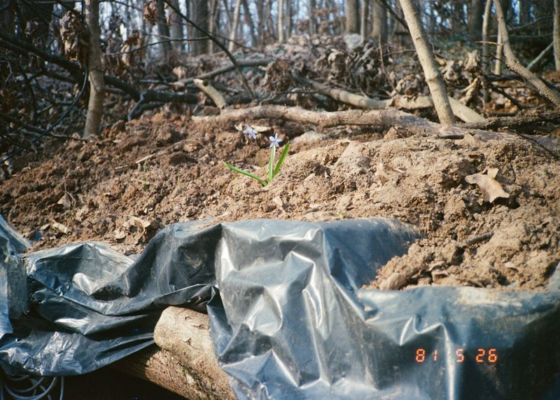 © melnitchenko sergey - Image from the Frontline rolls: Photos, Letters & Artifacts from Ukrainian Soldiers photography project