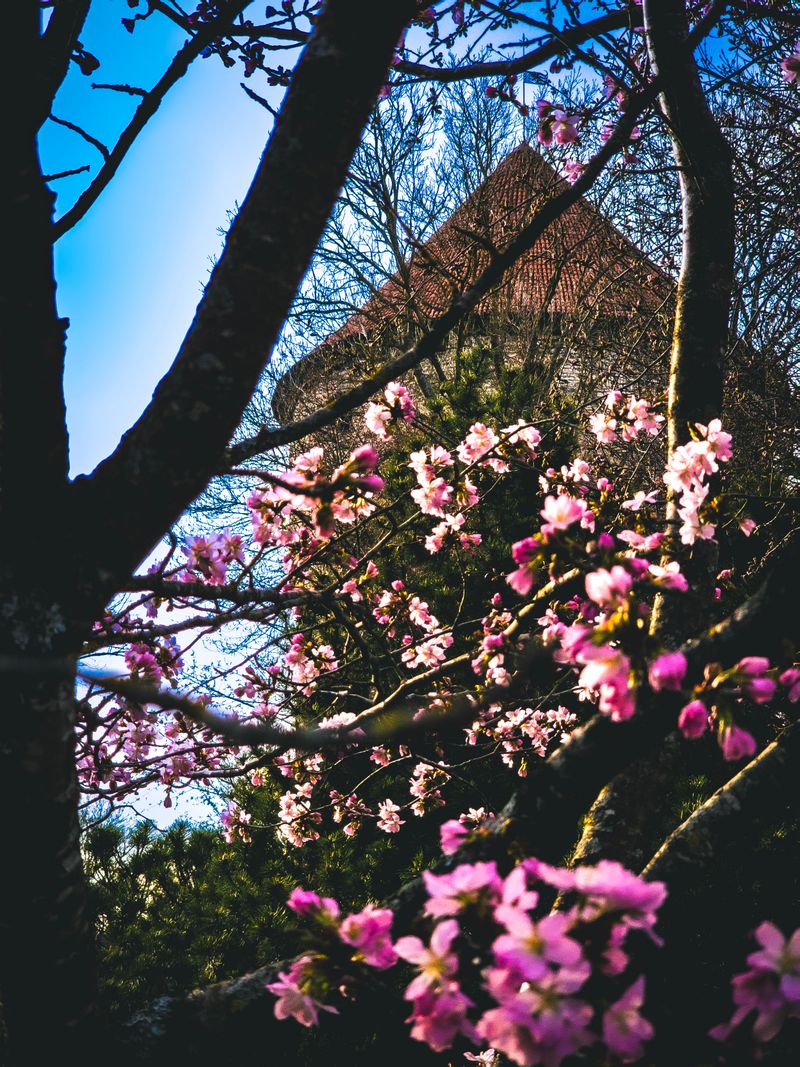 © EddieOz - Image from the Four Seasons, One Soul: Estonia photography project