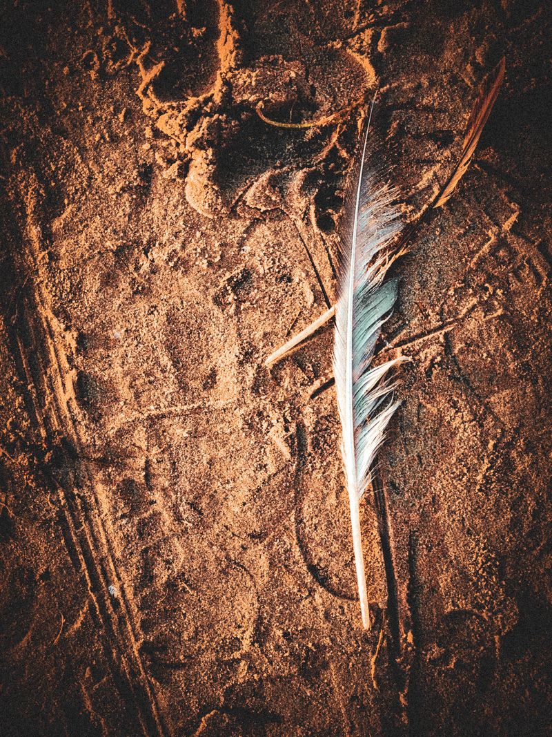 © EddieOz - Image from the Four Seasons, One Soul: Estonia photography project