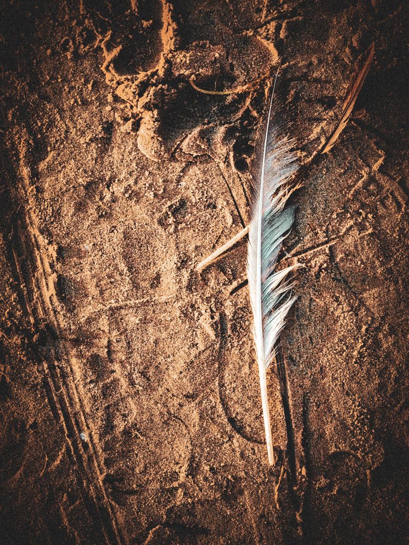 © EddieOz - Image from the Four Seasons, One Soul: Estonia photography project