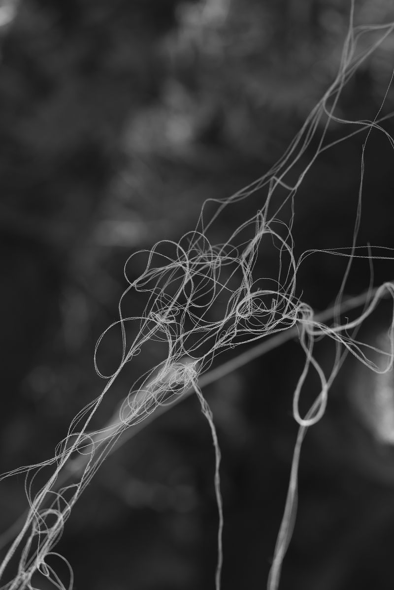 © Marya Boy - Image from the 52°12'22.09"N 21°01'33.75"E photography project