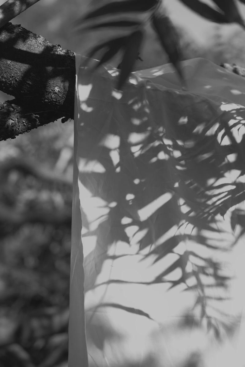 © Marya Boy - Image from the 52°12'22.09"N 21°01'33.75"E photography project