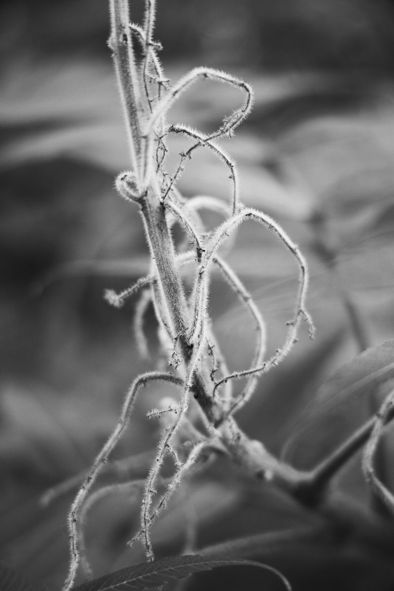 © Marya Boy - Image from the 52°12'22.09"N 21°01'33.75"E photography project