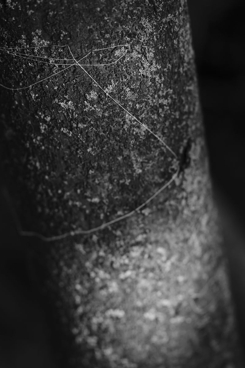 © Marya Boy - Image from the 52°12'22.09"N 21°01'33.75"E photography project