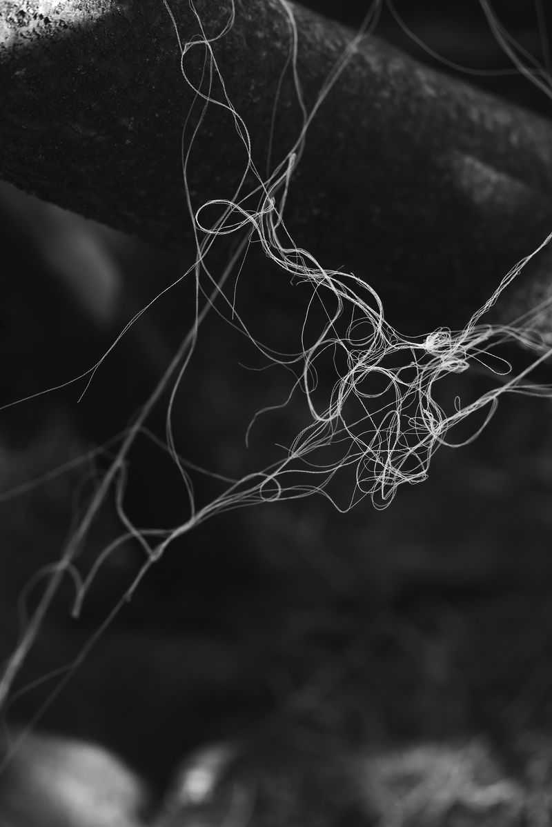 © Marya Boy - Image from the 52°12'22.09"N 21°01'33.75"E photography project