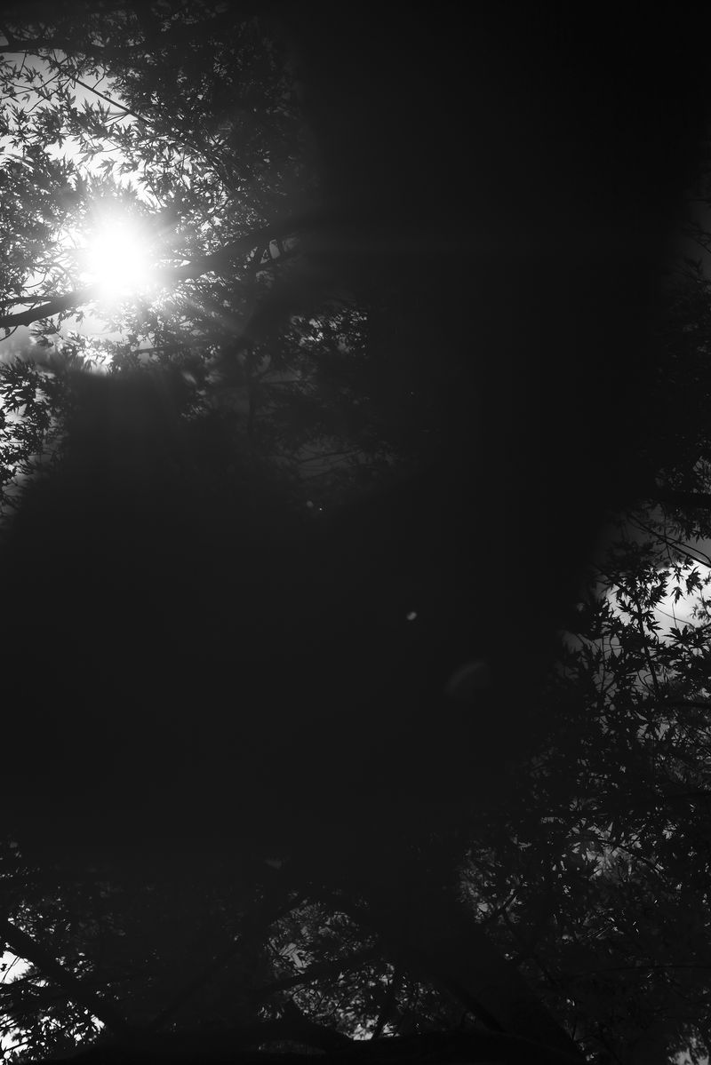 © Marya Boy - Image from the 52°12'22.09"N 21°01'33.75"E photography project