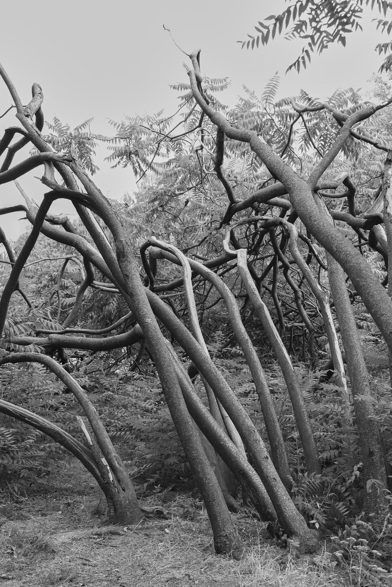 © Marya Boy - Image from the 52°12'22.09"N 21°01'33.75"E photography project