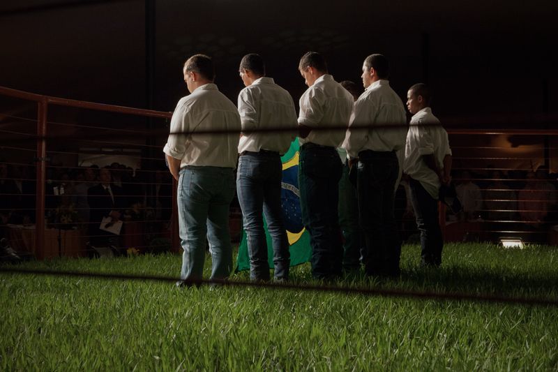 © Carolina Arantes - Image from the holy cow photography project