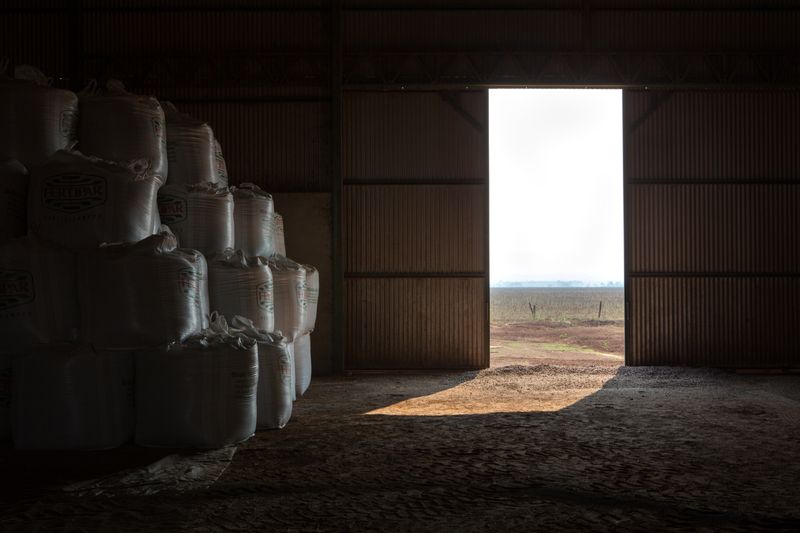 © Carolina Arantes - Image from the holy cow photography project