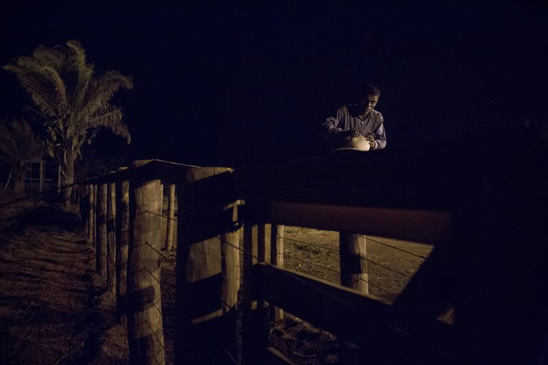 © Carolina Arantes - Image from the holy cow photography project