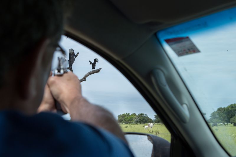 © Carolina Arantes - Image from the holy cow photography project