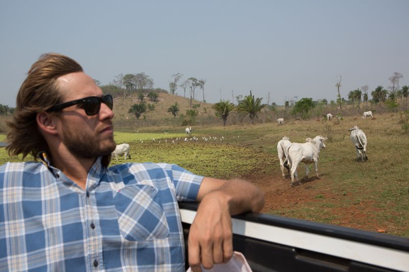 © Carolina Arantes - Image from the holy cow photography project