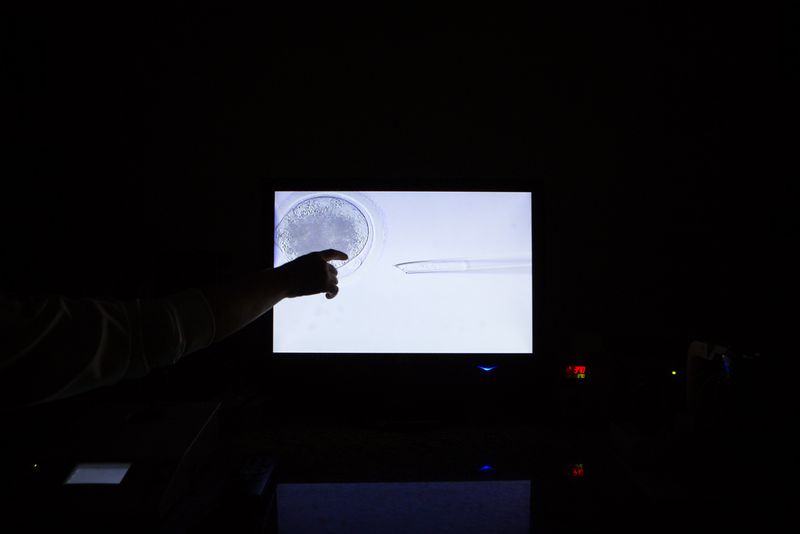 © Carolina Arantes - Image from the holy cow photography project