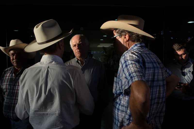 © Carolina Arantes - Image from the holy cow photography project