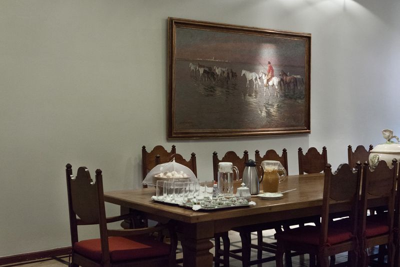 © Carolina Arantes - Image from the holy cow photography project