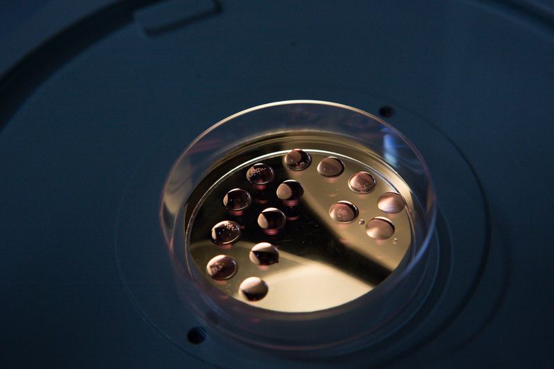 © Carolina Arantes - Image from the holy cow photography project