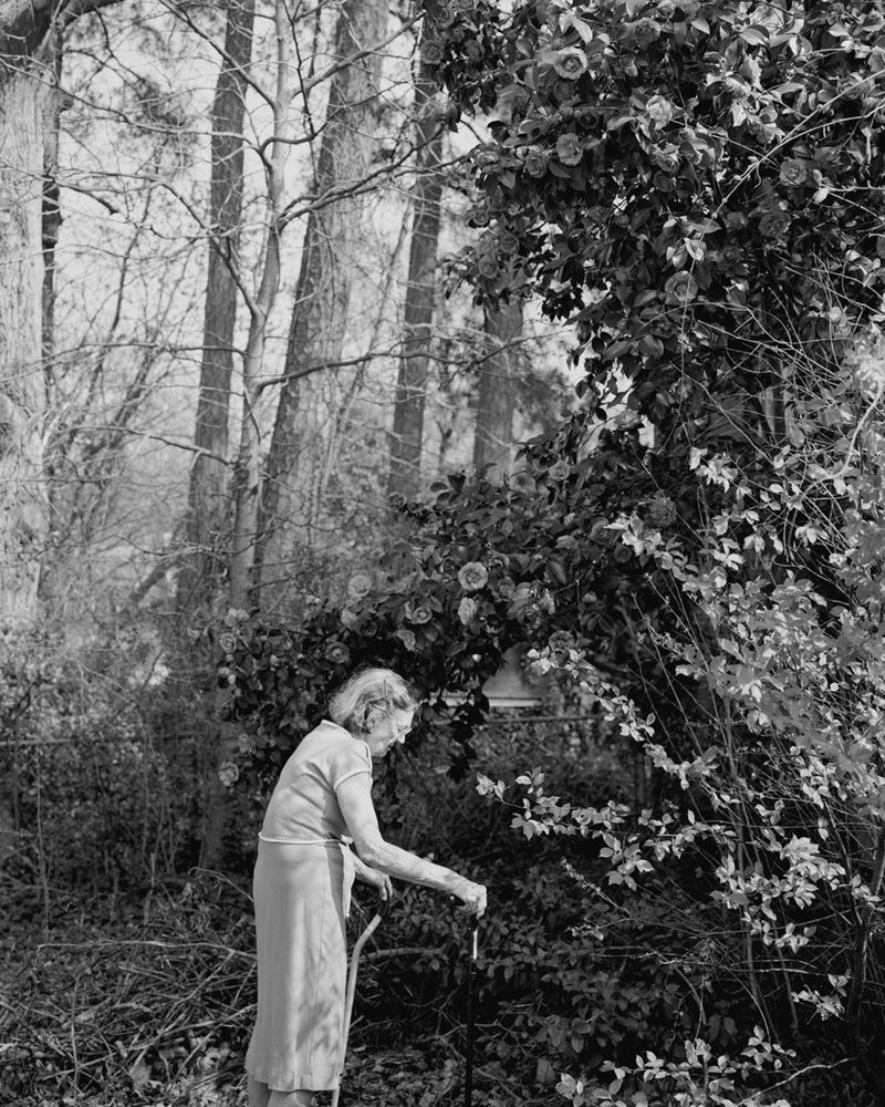 © Susan Worsham - "Margaret with Giant Camellia Japonica" Margaret shows me that my mother's Camellia still flowers in my childhood backyard.