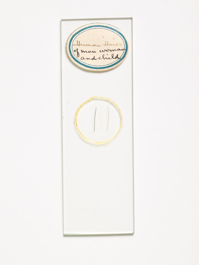 © Susan Worsham - Image from the Bittersweet on Bostwick Lane photography project