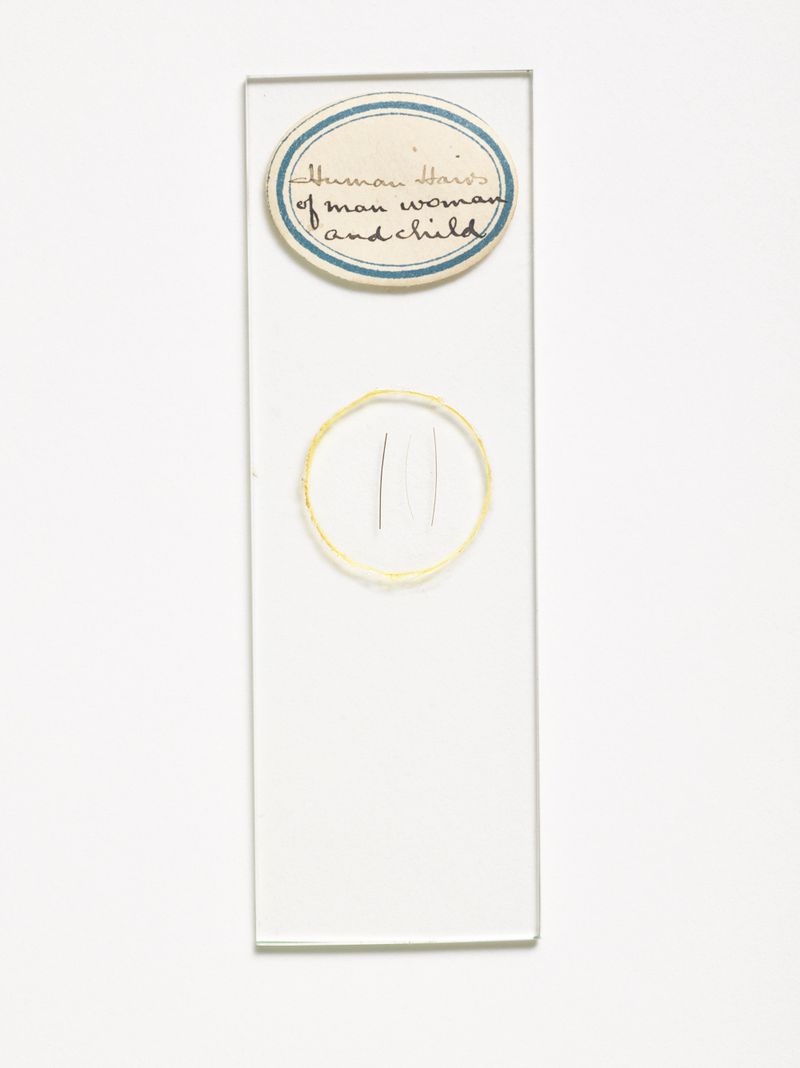 © Susan Worsham - Image from the Bittersweet on Bostwick Lane photography project