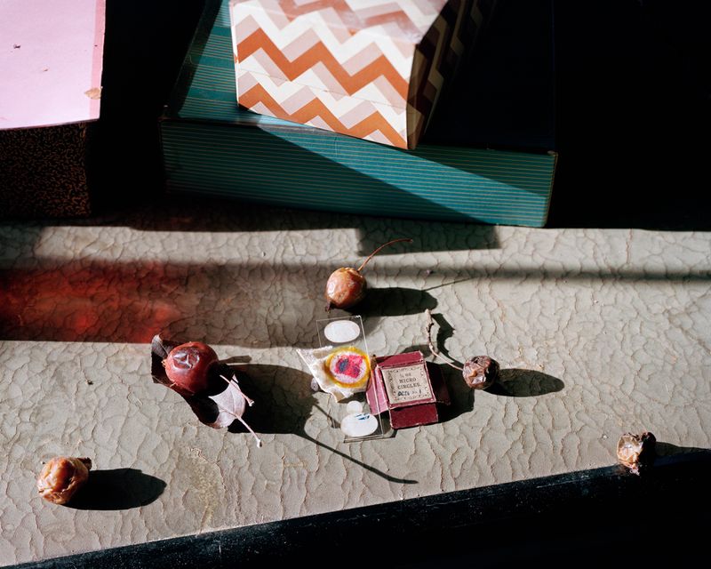 © Susan Worsham - "Micro Circles, Magic Marker Wound, and Apples"