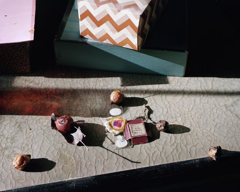 © Susan Worsham - "Micro Circles, Magic Marker Wound, and Apples"