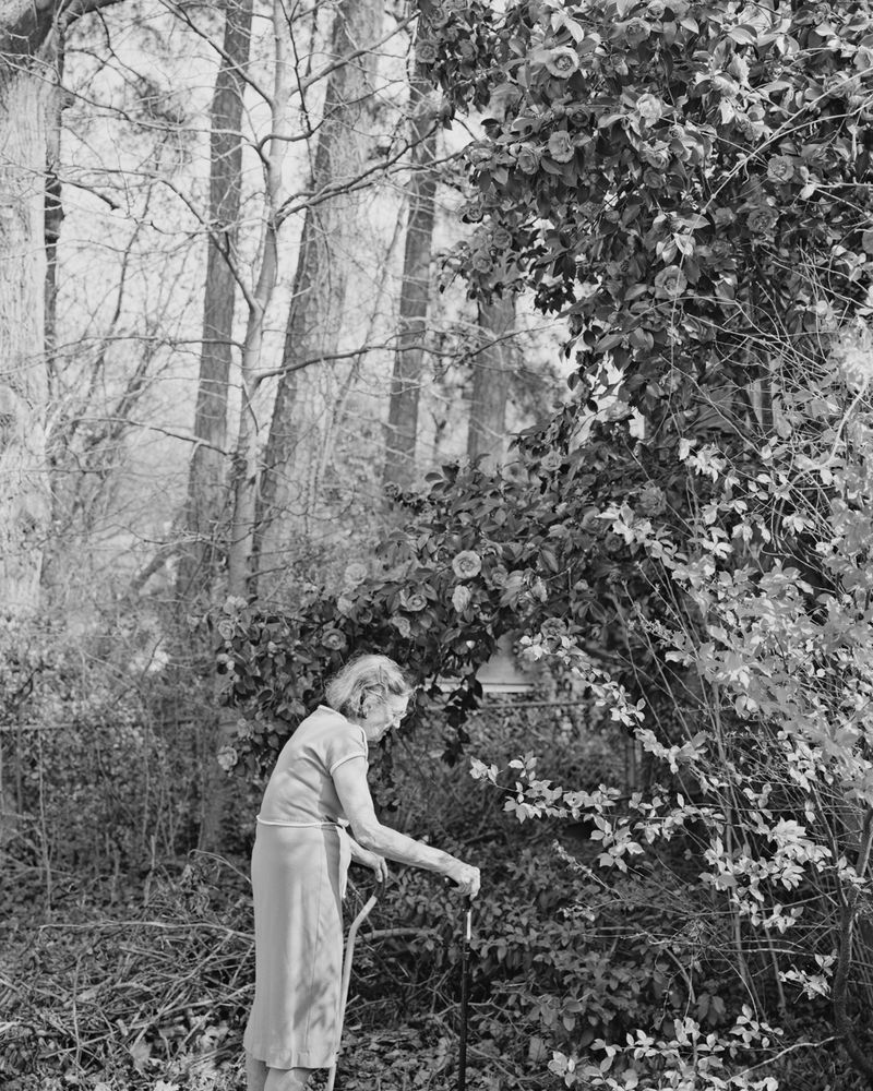 © Susan Worsham - "Margaret with Giant Camellia Japonica"