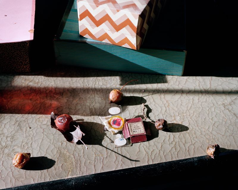 © Susan Worsham - "Micro Circles, Magic Marker Wound, and Apples"