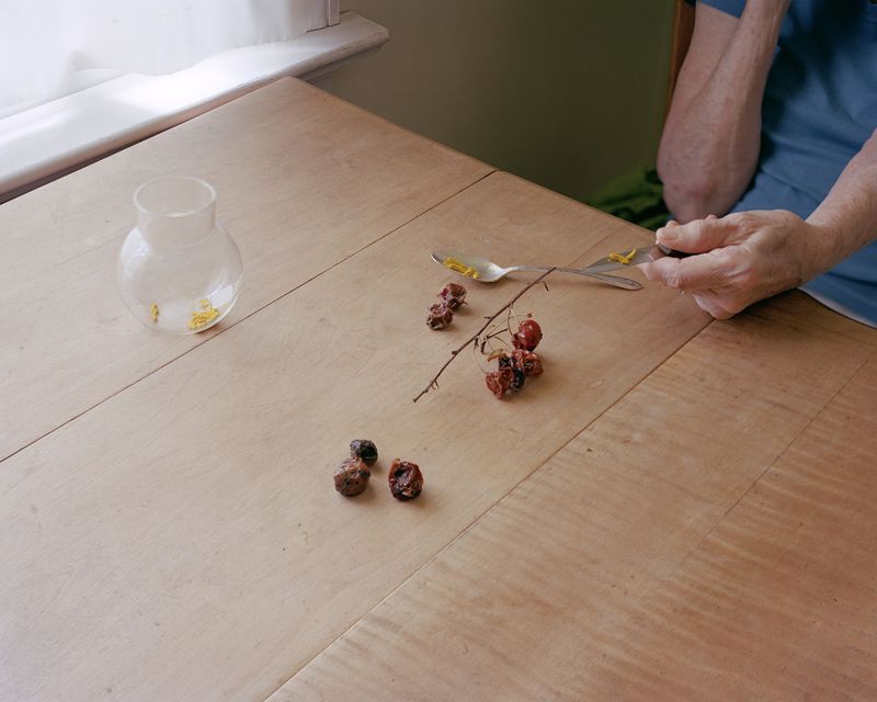 © Susan Worsham - Image from the Bittersweet on Bostwick Lane photography project