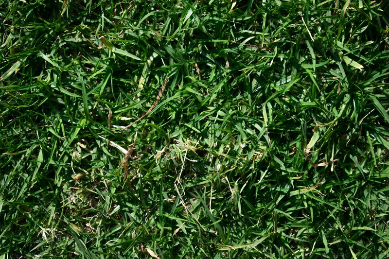 © Uriel Olivares - Image from the Like in the old days photography project