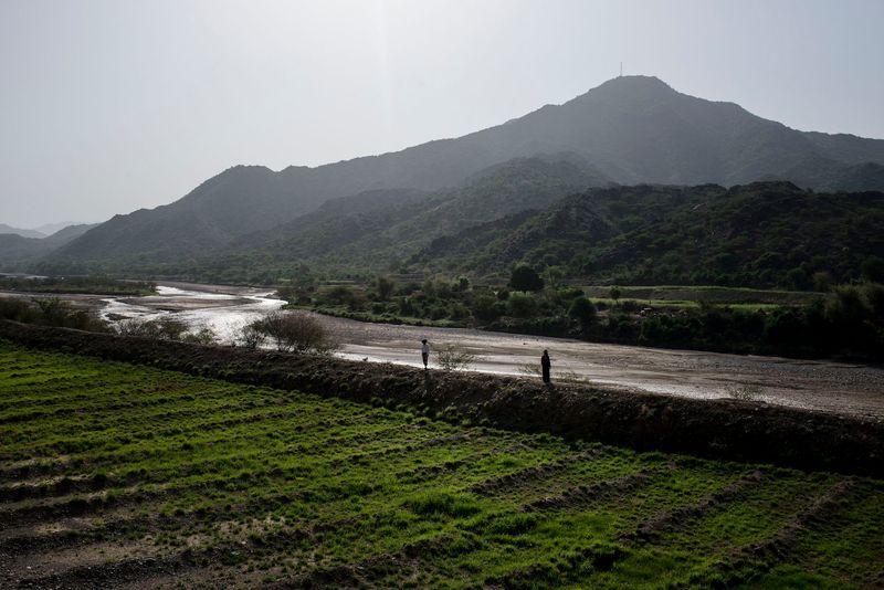 © Alex Potter - A Yemeni man and woman walk along their fields of crops in a village were a wedding was hit by an airstrike.